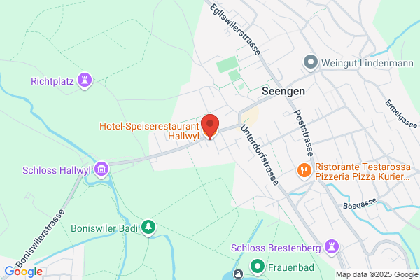 Hotel-Speiserestaurant Hallwyl AG