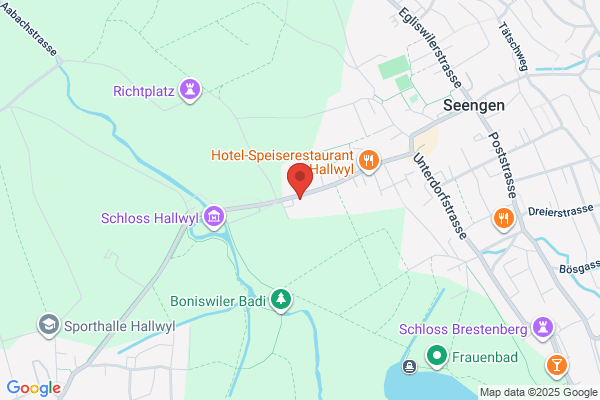 Schlossgarage Seengen AG