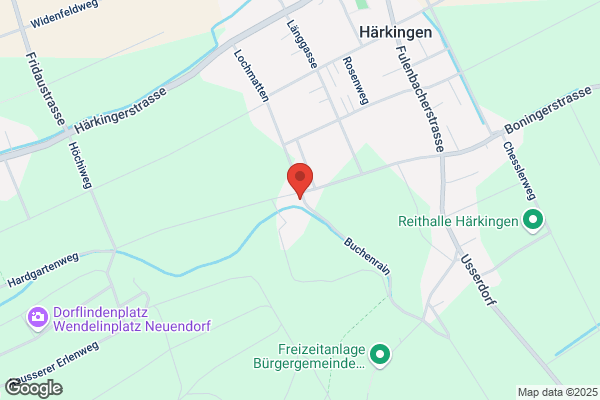Steiner und von Wyl