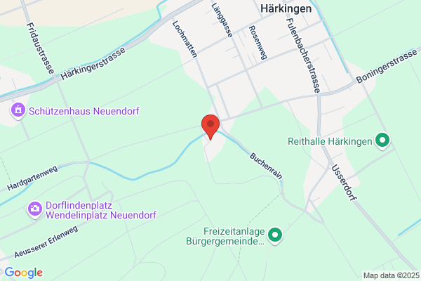 Wyss Weihnachtsbaumkulturen