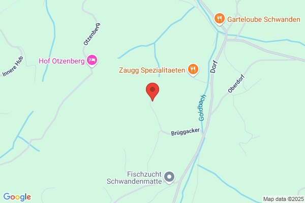 Innenausbau Schoeni GmbH