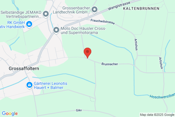 Hanspeter Guler