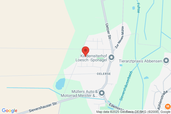 DSL Display Service Logistics AG