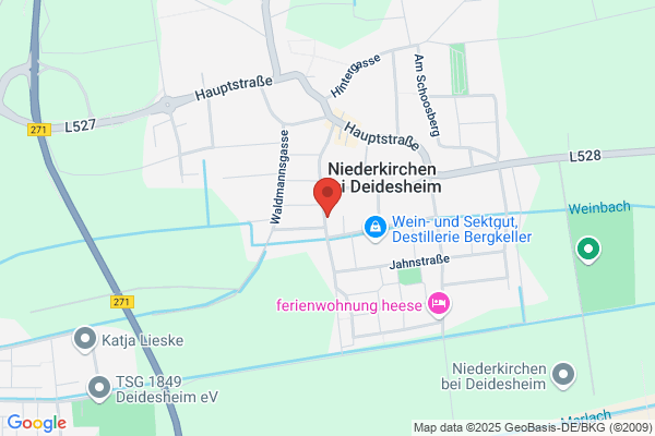 Ingenieurbuero P. Niedermann