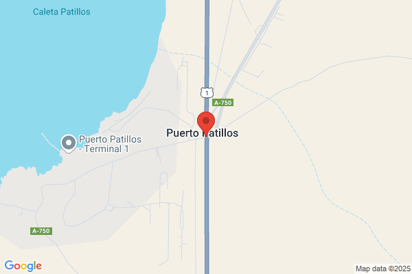 PTO P. Petillo