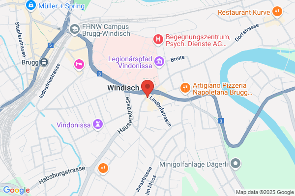 Lenzo Palace Pizza & Kebab Das Restaurant in der Nähe von Brugg mit Lieferdienst