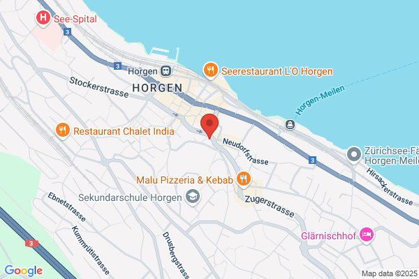 Drehscheibe Jugend- projektfabrik Horgen