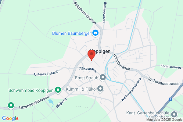 Architekturbuero K. Tschan