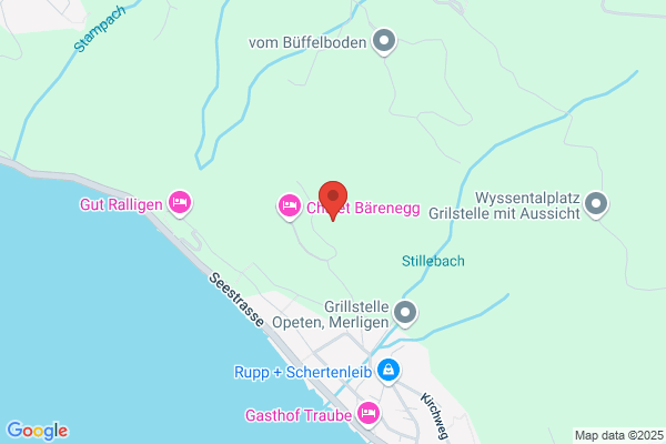 Niederhauser Verwaltungs AG