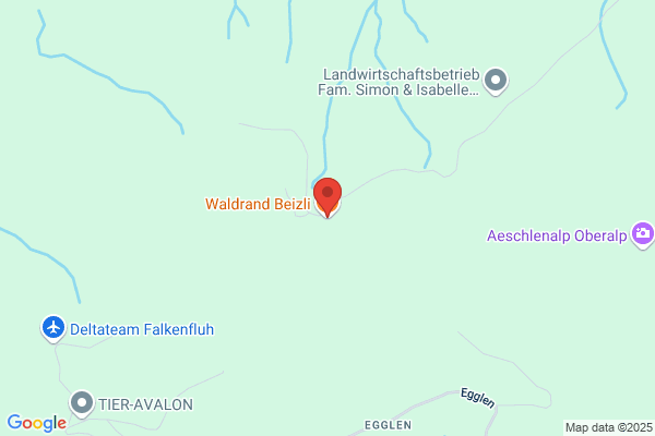 Waldrand Beizli