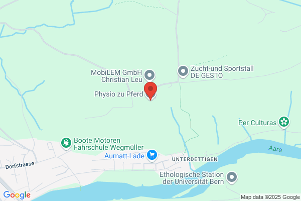 Physio-und Hippotherapie