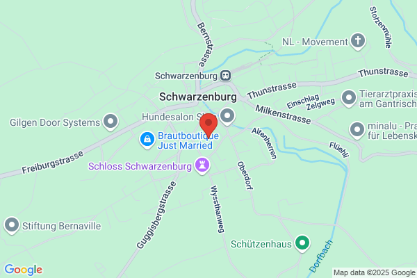 Zahntechn. Labor L. Wyrsch