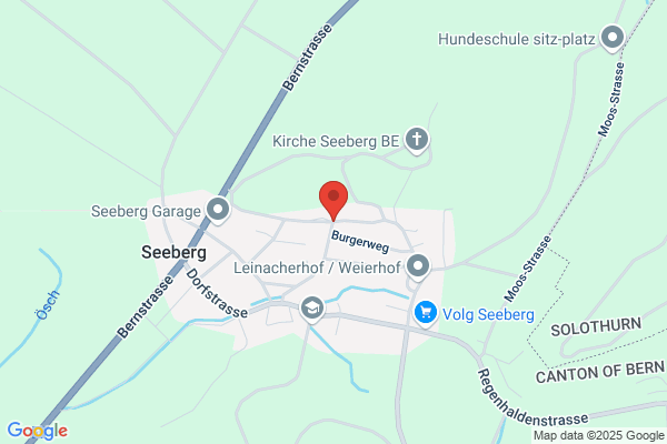 Dr.med. Peter Hammerschlag