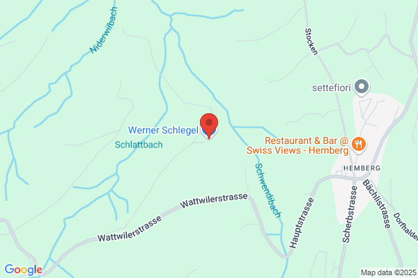 Werner Giezendanner