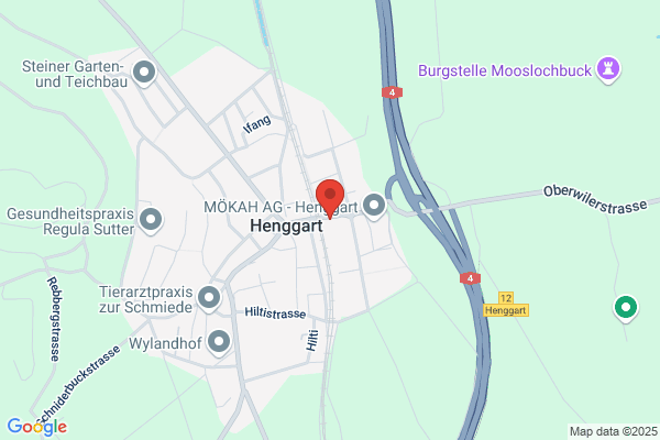 Hanspeter Bleisch
