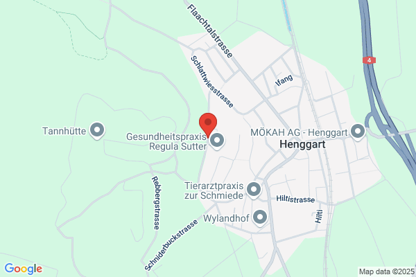 Zeugin Informatik GmbH