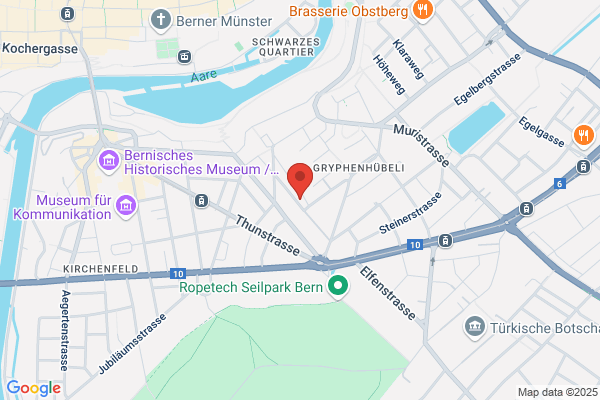 Junge Schweizer Demokraten