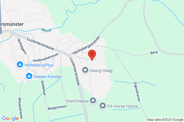 Messmer AG
