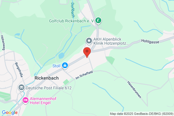 W. Baechler Dienstleistungen fuer Elektroingenieurarbeiten