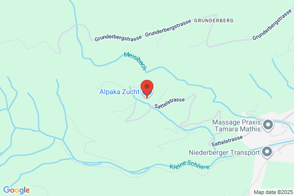 Alpaka Zucht
