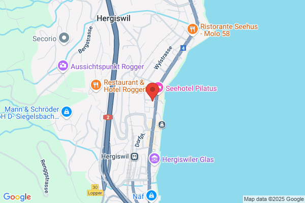 Pilatus Consulting Karl Vogler + Partner