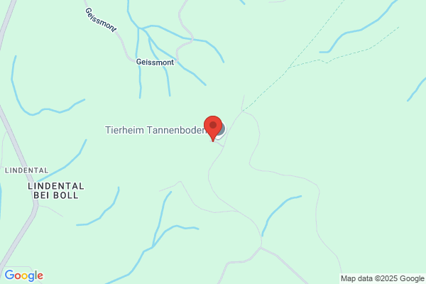 Tierpflegeheim Tannenboden