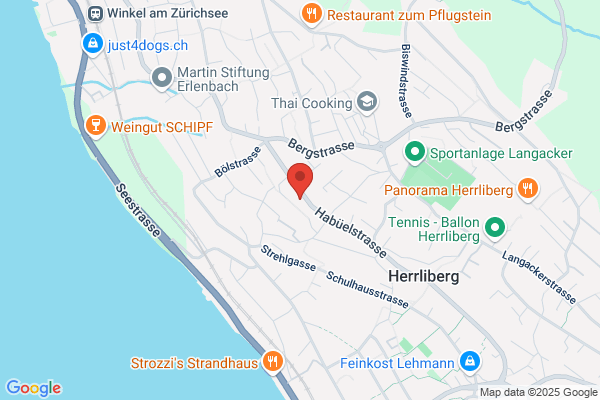 DISIGN GMBH