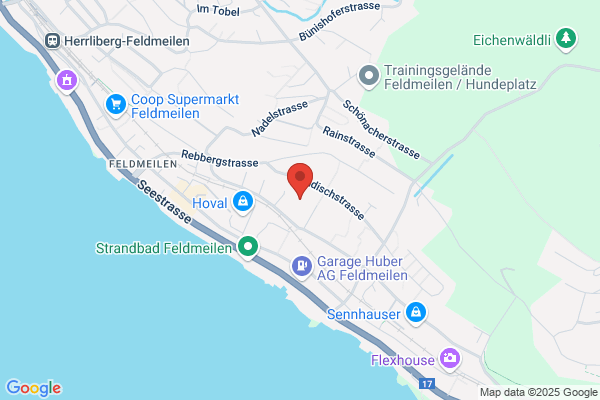 Schulhaus Feldmeilen alt
