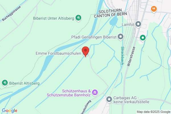 Bürgi's Forstbaumschulen AG