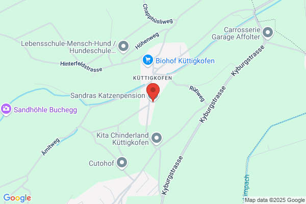Katzenpension