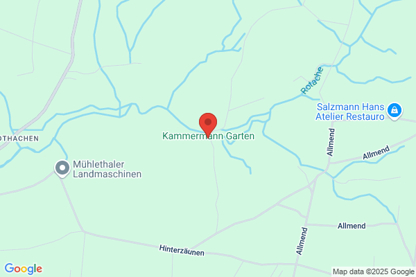 Trudi Kammermann