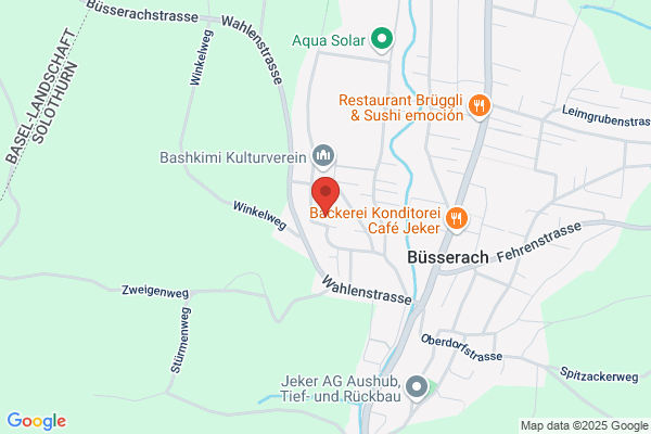 Bettwanzen bekämpfen Kanton Baselland