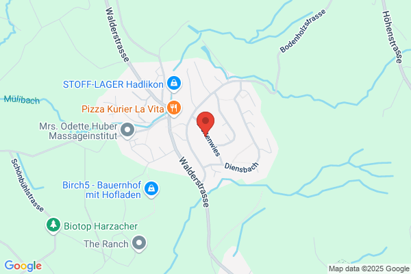 Faewa-Elektronik AG Hadlikon