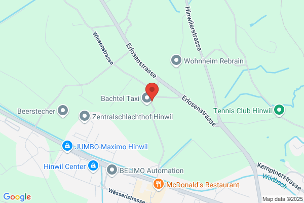 Jules Bachmann