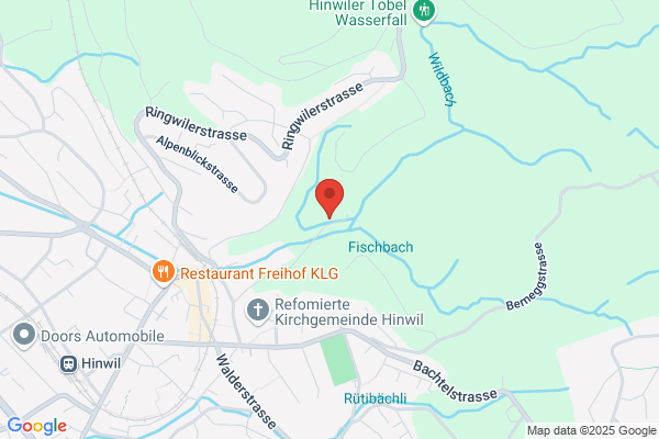 ihrbaum.ch