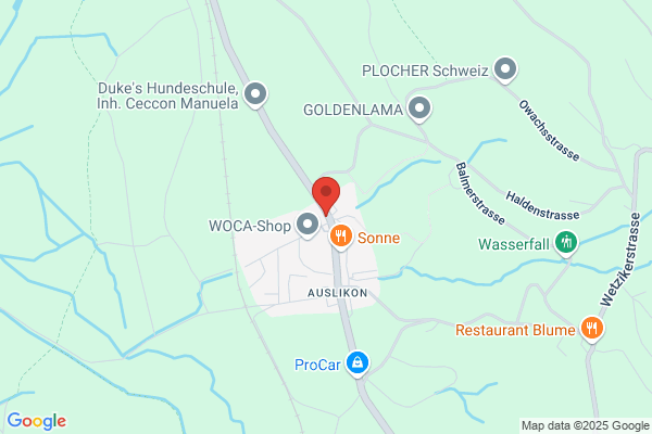 Restaurant Frohsinn