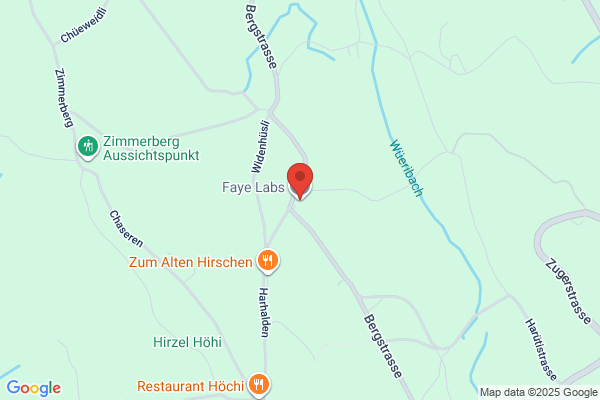 Faye Labs