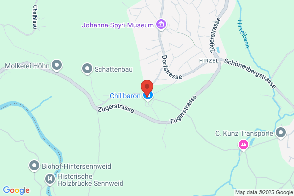 Restaurant Rigiblick