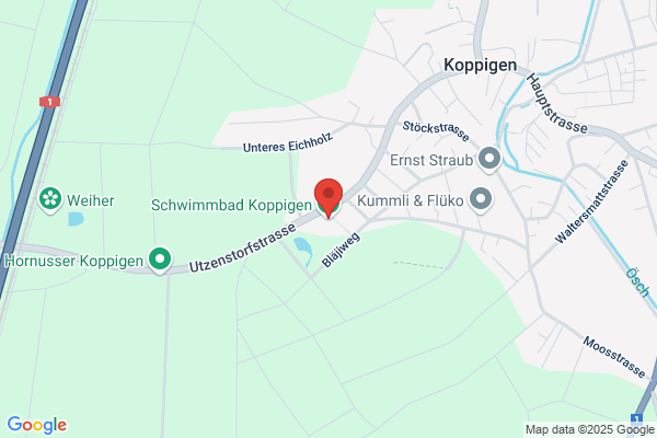Schwimmbad Koppigen