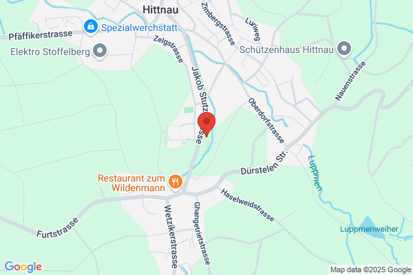Swissexpressumzug