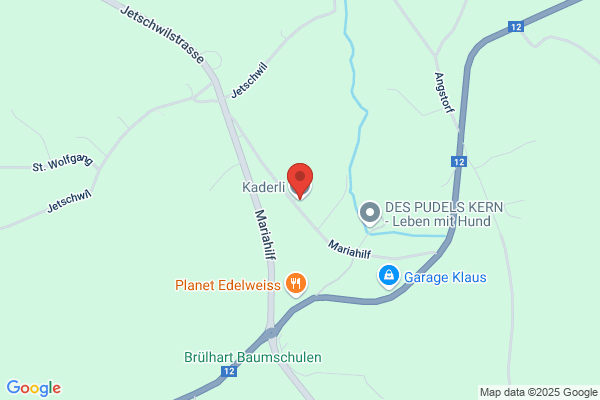 Werner Kaderli