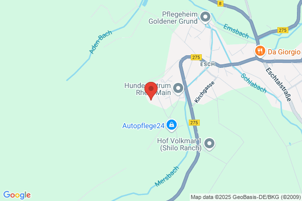 Kine-Rest GmbH
