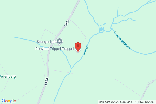 Pony-Trekking