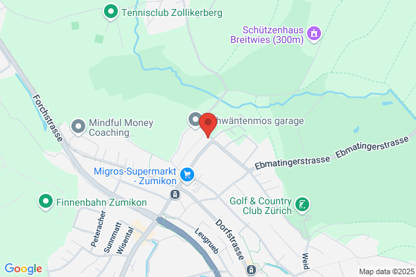 S. Pfenninger Autohandel