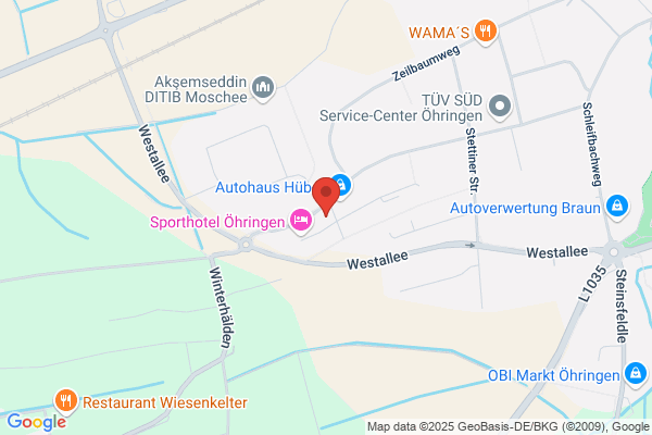 Revisa GmbH