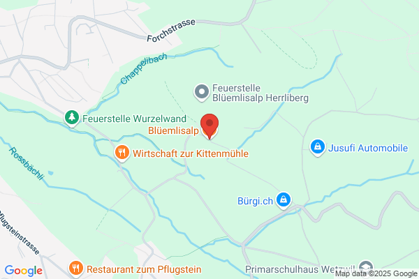 Hotel-Restaurant Bluemlisalp