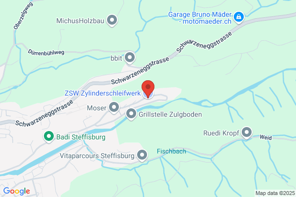 ZSW Zylinderschleifwerk AG