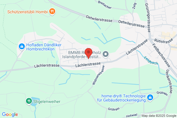 St. Nikolaus-Gesellschaft der Stadt Zuerich