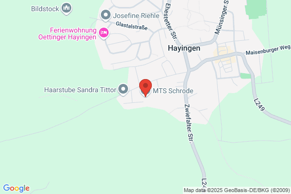 MTS Machinery Tools und Services AG
