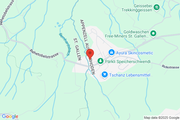 LEDERMANN MASCHINEN TECHNOLOGIE
